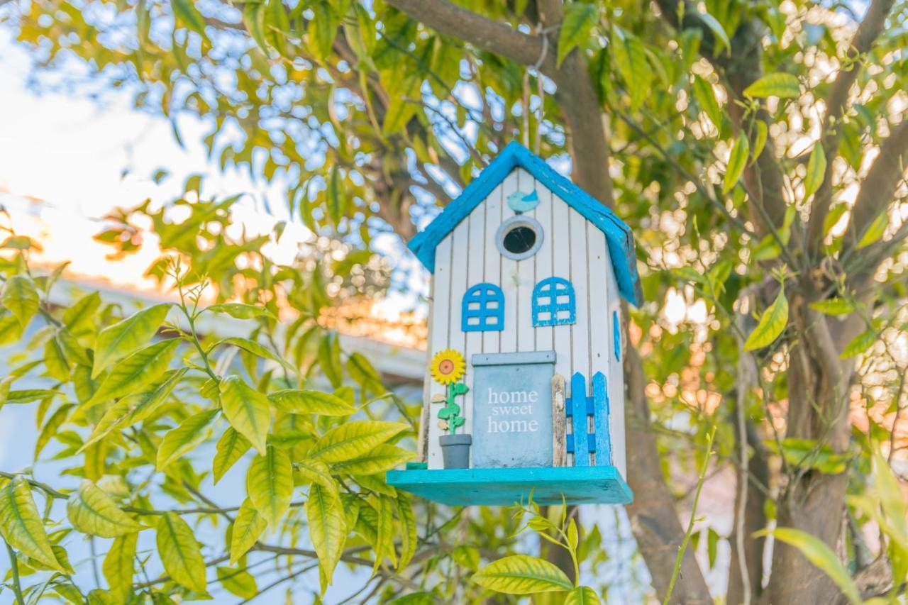 Porto Island Βίλα Εξωτερικό φωτογραφία